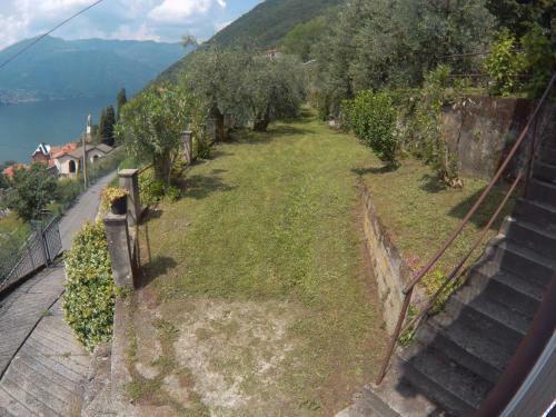 Gli Ulivi Di Nesso