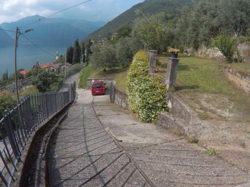 Gli Ulivi Di Nesso