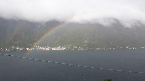 Gli Ulivi Di Nesso