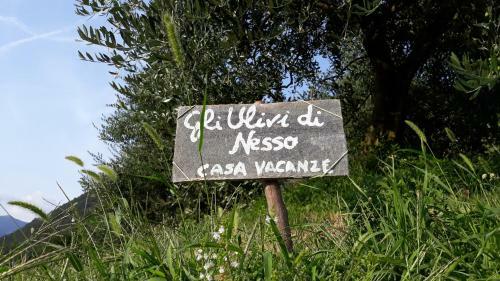 Gli Ulivi Di Nesso