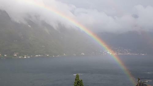 Gli Ulivi Di Nesso