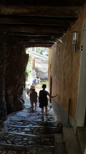 Gli Ulivi Di Nesso