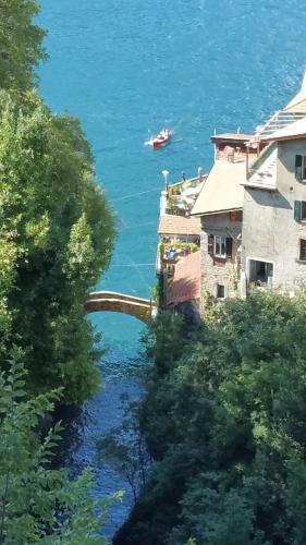 Gli Ulivi Di Nesso