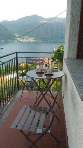 Gli Ulivi Di Nesso