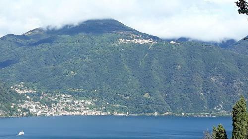Gli Ulivi Di Nesso