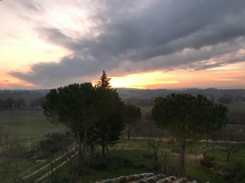 Il Saragio