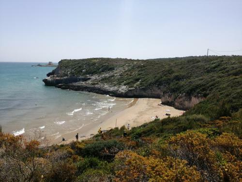 Calypso Casa Vacanze