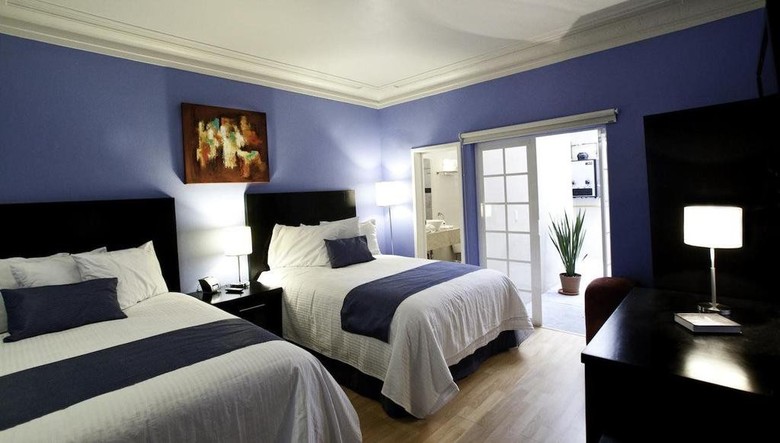 Hostal Casa Condesa Amatlan 84