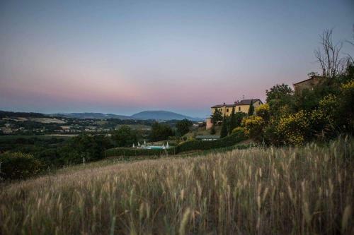 Il Poggio Dei Tre Contadini