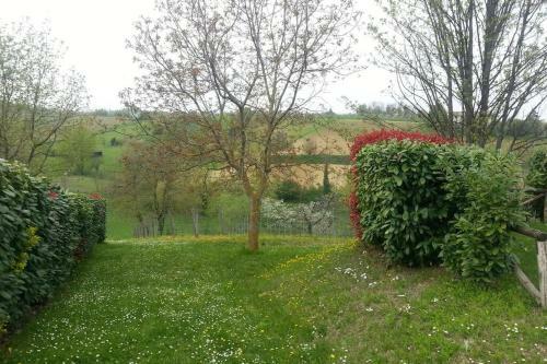 Casa Intera Tra Le Colline E Le Vigne Del Dolcetto