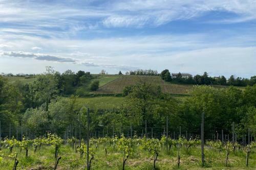 Casa Intera Tra Le Colline E Le Vigne Del Dolcetto