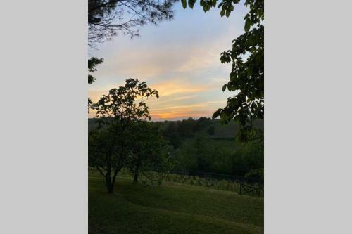 Casa Intera Tra Le Colline E Le Vigne Del Dolcetto