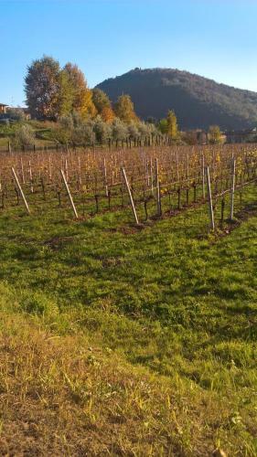 Acero Rosso B&B In Franciacorta