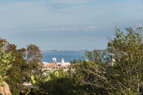 Apartamento Un Nido A Porto Rafael