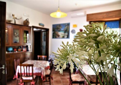 Bed & Breakfast Beb Mare Chiaro