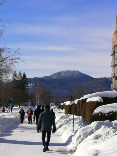 Apartamento O'berge Du Village A302