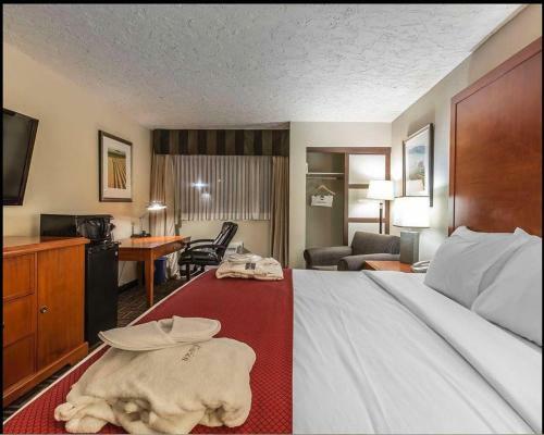 Hotel The Homestay Inn & Suites