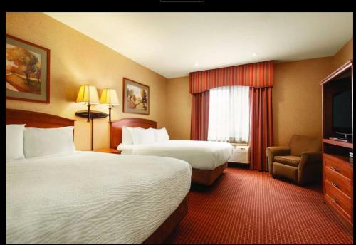 Hotel The Homestay Inn & Suites