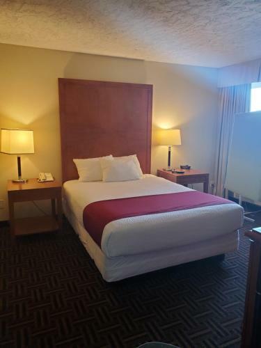 Hotel The Homestay Inn & Suites