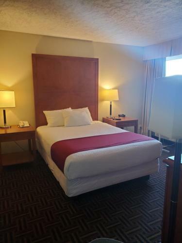 Hotel The Homestay Inn & Suites