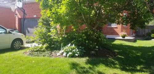 Apartamento 4267 Credit Pointe Dr