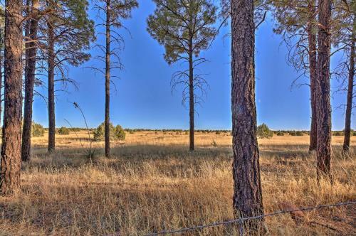 Quaint Warbirds Nest Cabin In Bison Ranch!