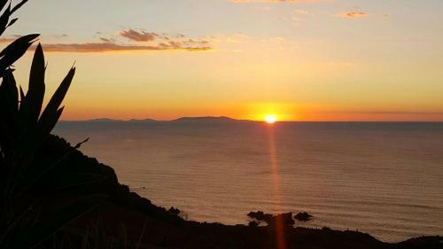 Bilo Pool Paradise: Your Paradisiac Corner In Sardinia