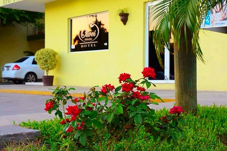Hotel Posada Los Olivos