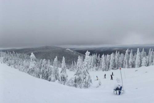 Apartamento The Mountainside By Escapades Tremblant