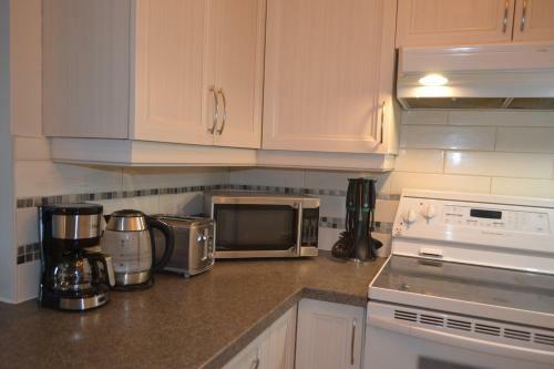 Elegant Apartment - View On Lake Tremblant & Mountain