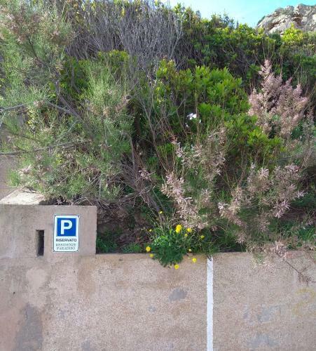 Residenze Paradiso