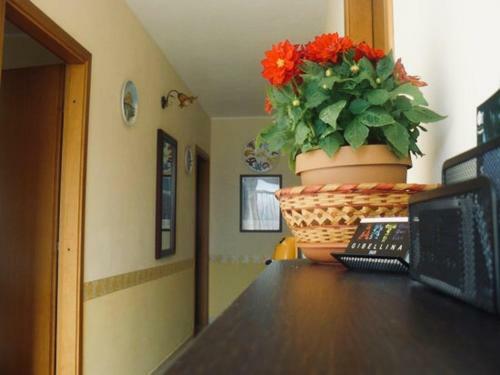 Hostal Gibellina Arte