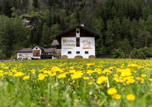 Apartamento Peintenhof Typ B