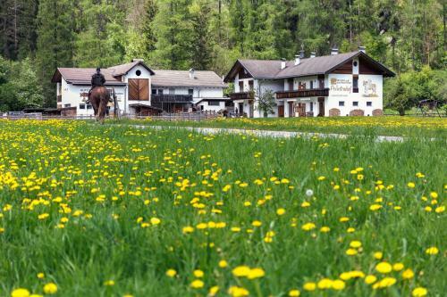 Apartamento Peintenhof Typ A