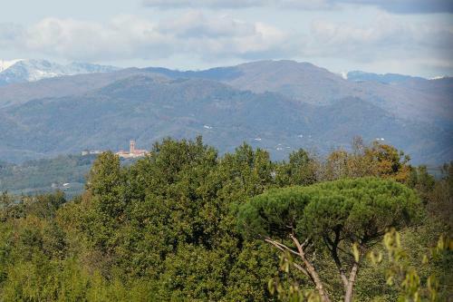 Bed & Breakfast Bel Giorgio