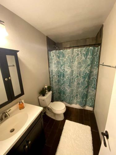 Cozy 3 Bdr House Few Blocks From Mill Ave