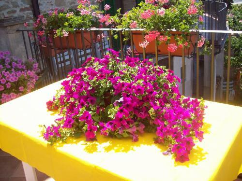 Bed & Breakfast La Terrazza Fio...rita