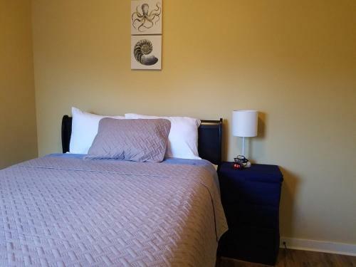 Spacious 3 Bedroom Gem With Lighted Patio