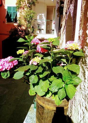 Apartamento Casa La Quiete