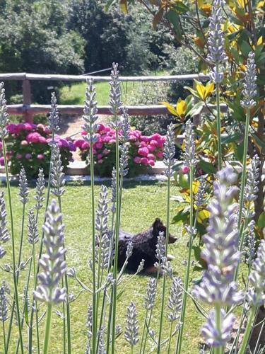 Bed & Breakfast Ort Holiday's Time