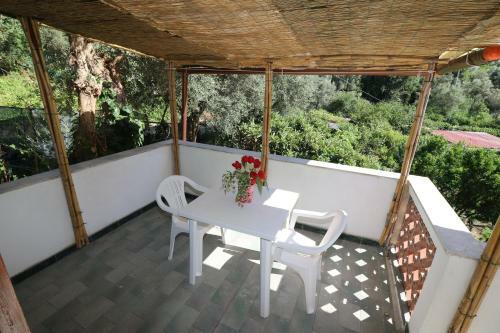 Hostal Casa Rosola