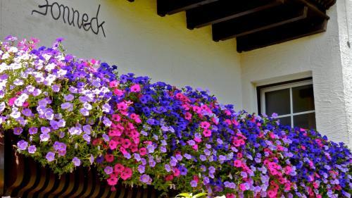 Hotel Haus Sonneck