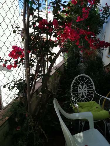 Hostal Can Pau Guesthouse