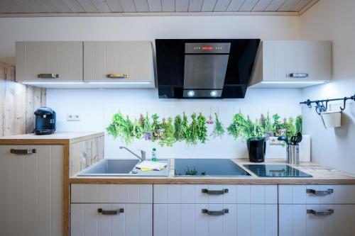Apartamentos Fewo Im Stieg 2