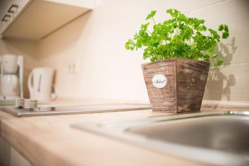 Apartamentos Fewo Im Stieg 2