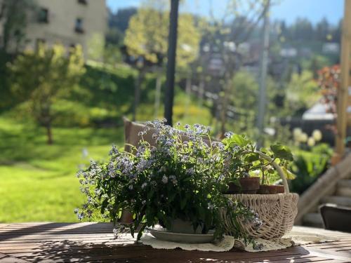 Apartamento Dolomites Charme Chalet