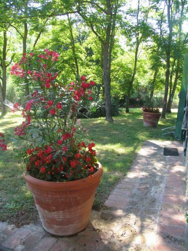 Apartamento Grande Sole
