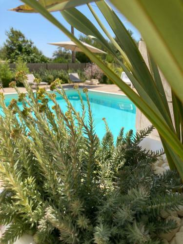 Villa Il Marchese In Piscina
