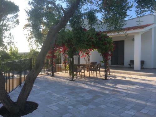 Riserva Ancelle