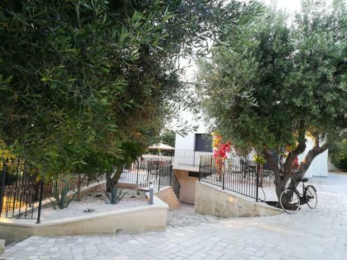 Riserva Ancelle